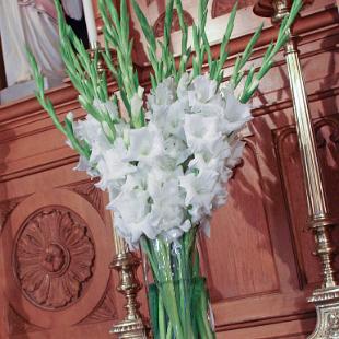 CF0532-Tall White Gladioli Alter Arrangement