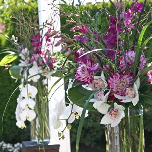 CF0612- Stylish Tropical Plum and White Arrangement