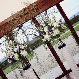 CF0620-Branch and Flower Wedding Arch