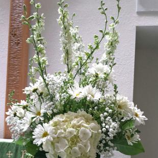 CF0724-White Daisies Wedding Ceremony Decoration