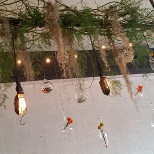 CF0798-Hanging Succulents in Glass Vases For Wedding Ceremony