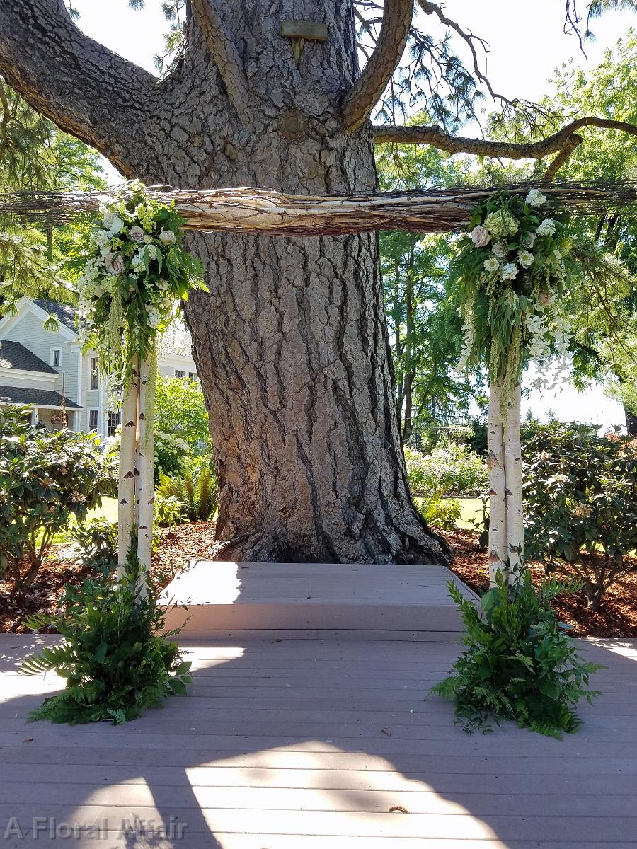 CF0902-Charming Birch Wedding Arch