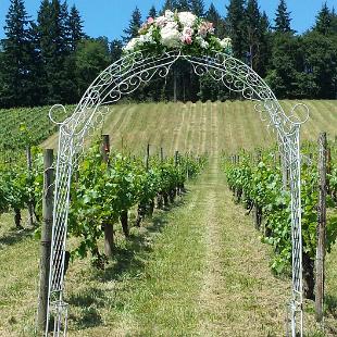 CF0744-Wedding Arch with Flowers on Top