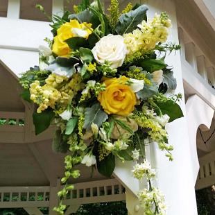 CF0873-Green, Yellow and Cream Gazebo Spray