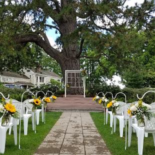 CF0898-Sunflower Wedding Decorations