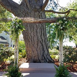 CF0902-Charming Birch Wedding Arch