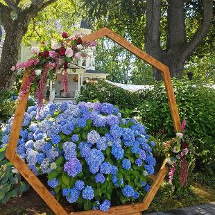 CF09244-Heptagon Wedding Backdrop