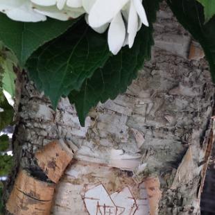 FT0714-Bride and Groom Initials In Bark Wrap
