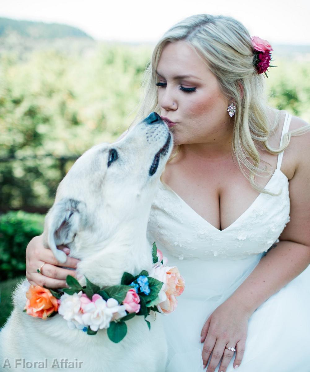 BF0788-Floral Dog Collar in Blue's and Coral's