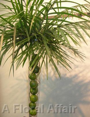 RF0915-Green Simple, Tropical Tall Centerpiece with Lime Accent