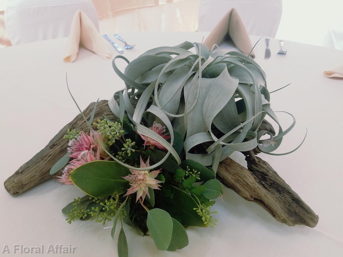 RF1409-Drift Wood and Air Plant Centerpiece