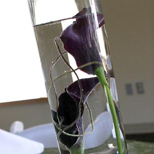 RF0467-Simple Calla Lilie Centerpiece