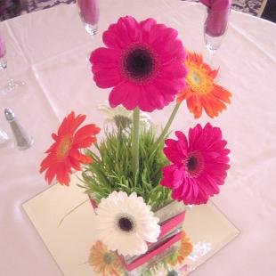 RF1117-Fun Gerbera Daisy Centerpiece