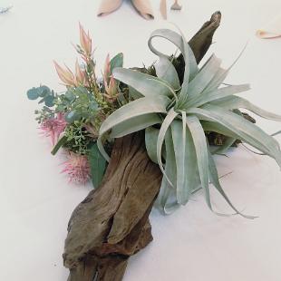 RF1407-Airplant and Wood Centerpiece