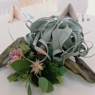 RF1409-Drift Wood and Air Plant Centerpiece