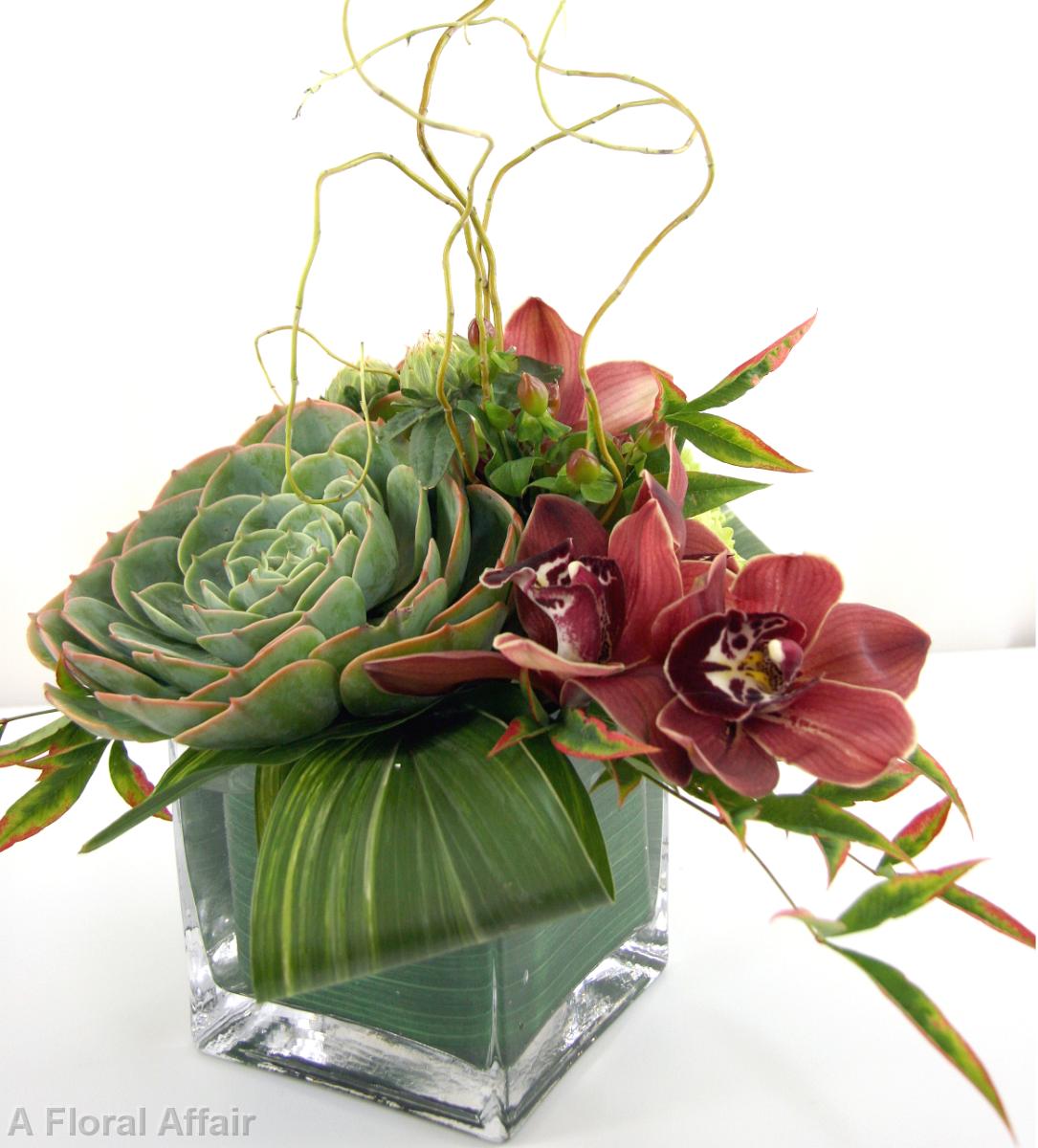 RF0590-Low Succulent Centerpiece