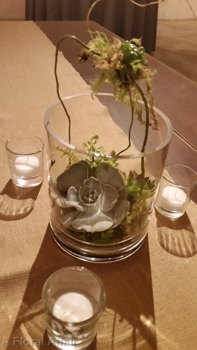 RF1242-Succulant Garden Centerpiece