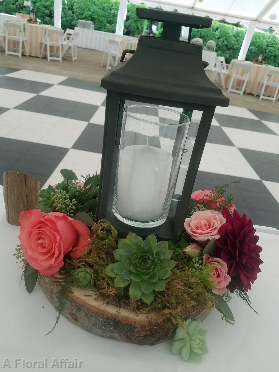 RF1419-Lantern and Succulant Centerpiece