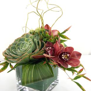 RF0590-Low Succulent Centerpiece