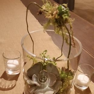 RF1242-Succulant Garden Centerpiece