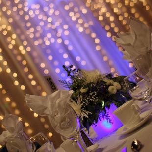 RF1259-Blue and White Lite Centerpiece