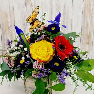 RF1380-Bright Butterfly Bouquet