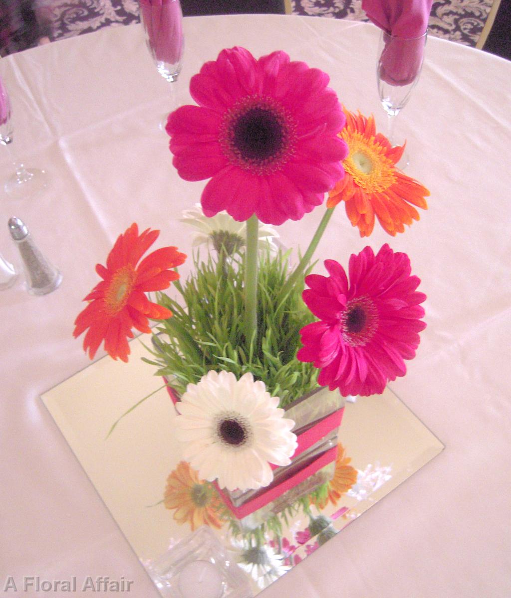 RF1117-Fun Gerbera Daisy Centerpiece