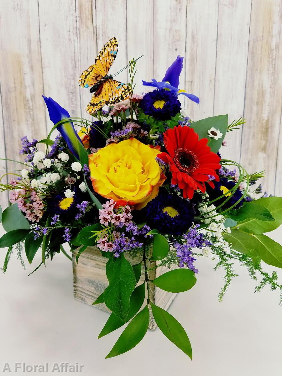 RF1380-Bright Butterfly Bouquet