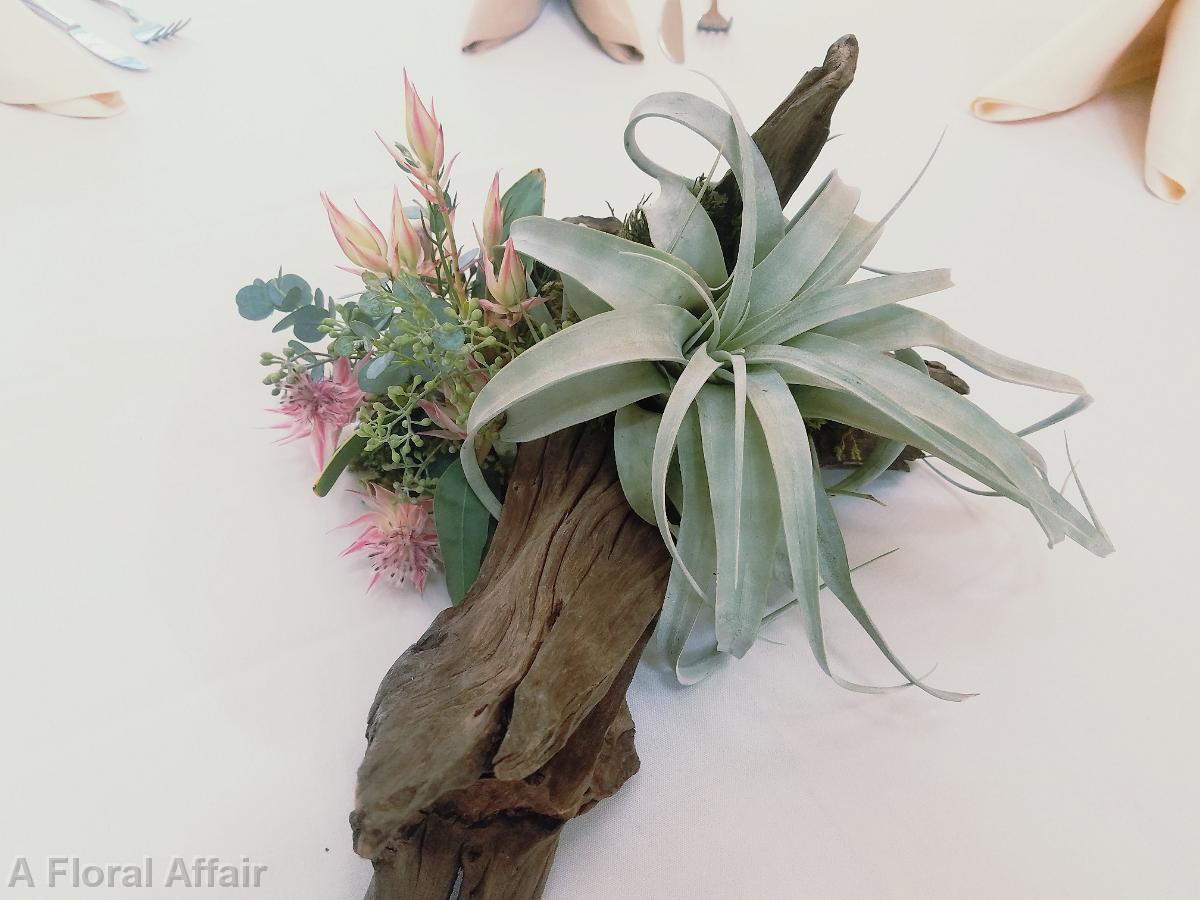 RF1407-Airplant and Wood Centerpiece