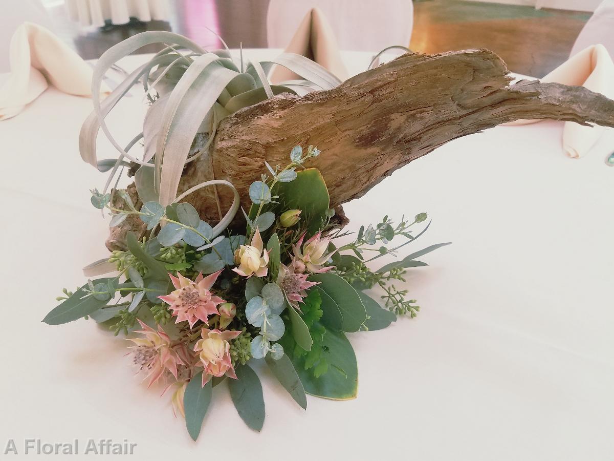 RF1408-Air Plant and Driftwood Centerpiece