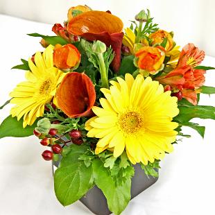 HD7069-Low Orange, Rust and Yellow Arrangement