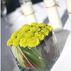 RF0309- Green Button Mum Centerpiece