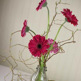 RF0368-Milk Bottle Table Number and Daisies