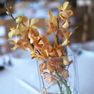 RF0452-Simple Mokara Orchid Centerpiece