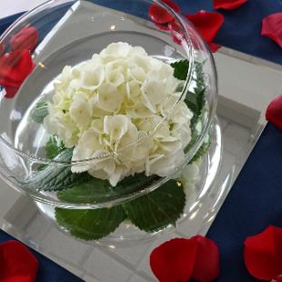 RF1136-Simple White Hydrangea Centerpiece