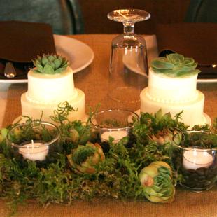 FT0704-Bride and Grooms Mini Cakes with Succulents