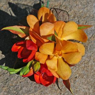 BF0581-Fall Orchid and Freesia Corsage
