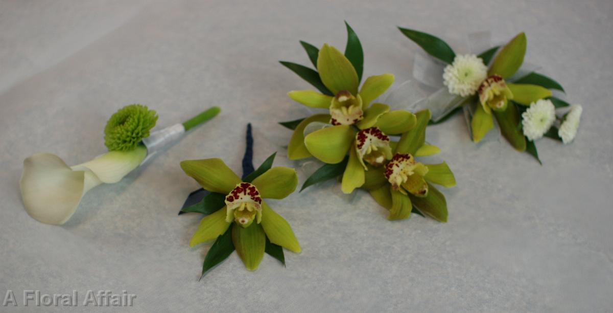 BF0474-Green Cymbidium Orchid Parents Flowers