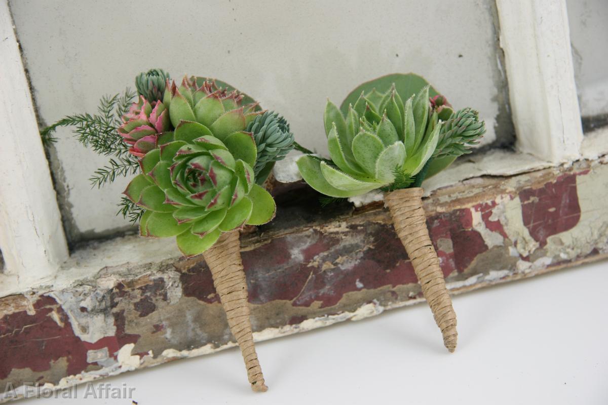 BF0621-Succulent and Twine Boutonniere
