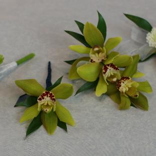 BF0474-Green Cymbidium Orchid Parents Flowers