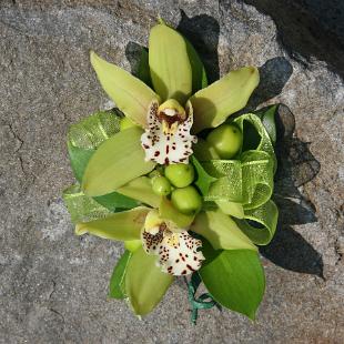 BF0568-Lime Green Cymbidium Orchid Corsage