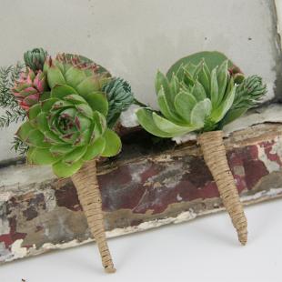 BF0621-Succulent and Twine Boutonniere
