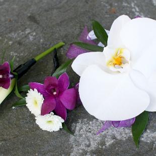 BF0499-Phalaenopsis and Dendrobium Orchid Corsage and Boutonnieres