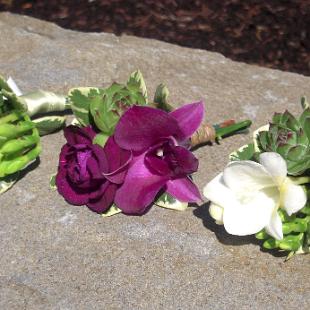 BF0640-Natural Succulent, Orchid and White Freesia Boutonniere
