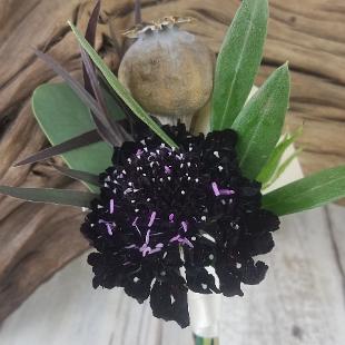 BF0782-Scabiosa and Poppy Pod Boutonniere