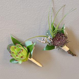 BF0813-Succulent and Airplant Boutonnieres