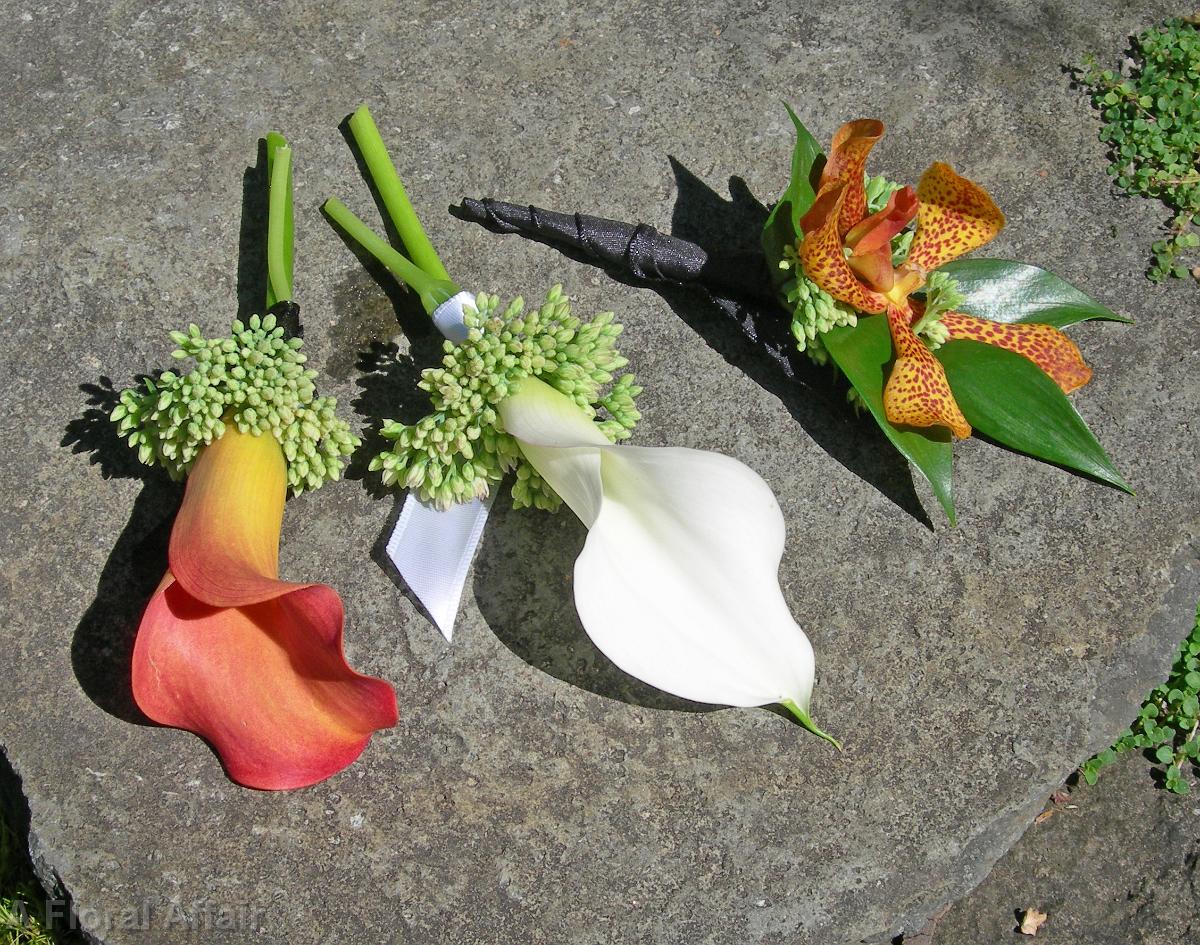 BF0342-Simple Orange and White Boutonnieres