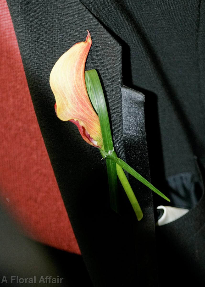 BF0371-Orange Mini Calla Boutonniere