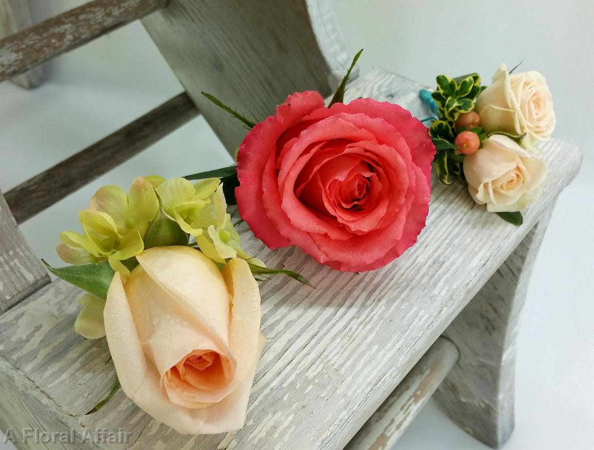 BF0688-Coral, Peach and Green Rose Boutonniere wjpg