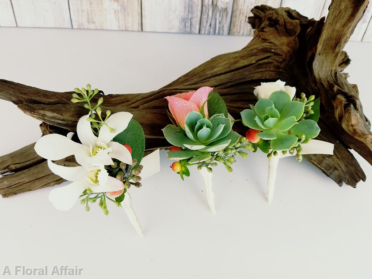 BF0762-White and Coral Succulant Boutonniere's